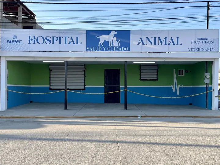 La fachada de Hospital Animal: letrero blanco con el logotipo azul y muros verde lima y azul con una línea de pulso pintada